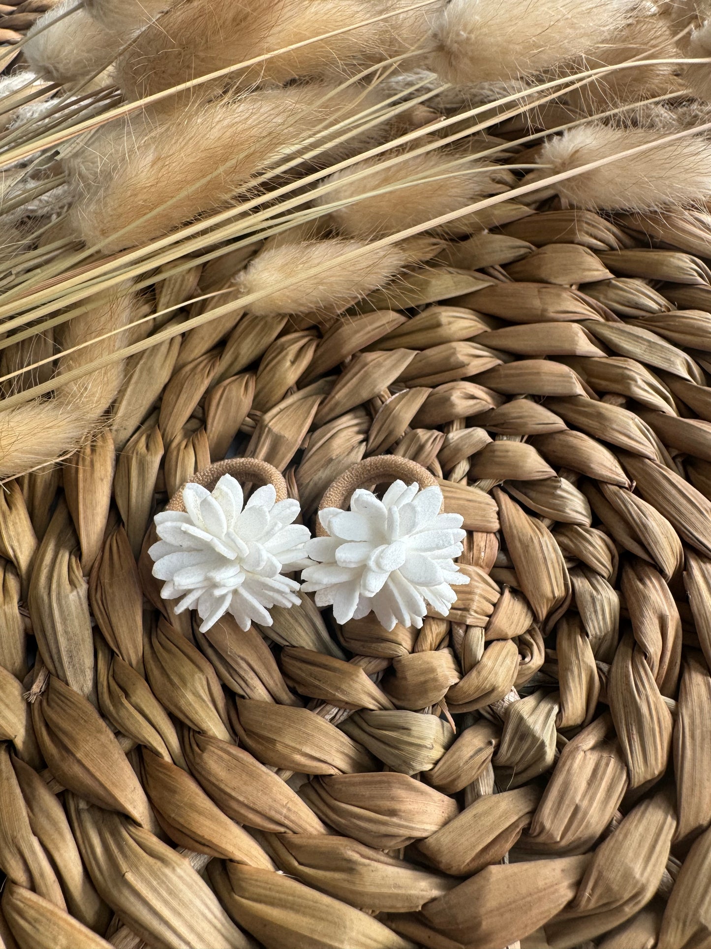 Elastiekjes Nora mini (5 kleuren)