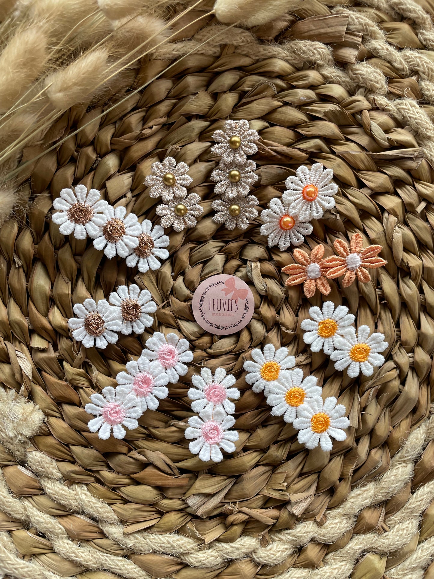alligatorclips bloem daisy madeliefjes